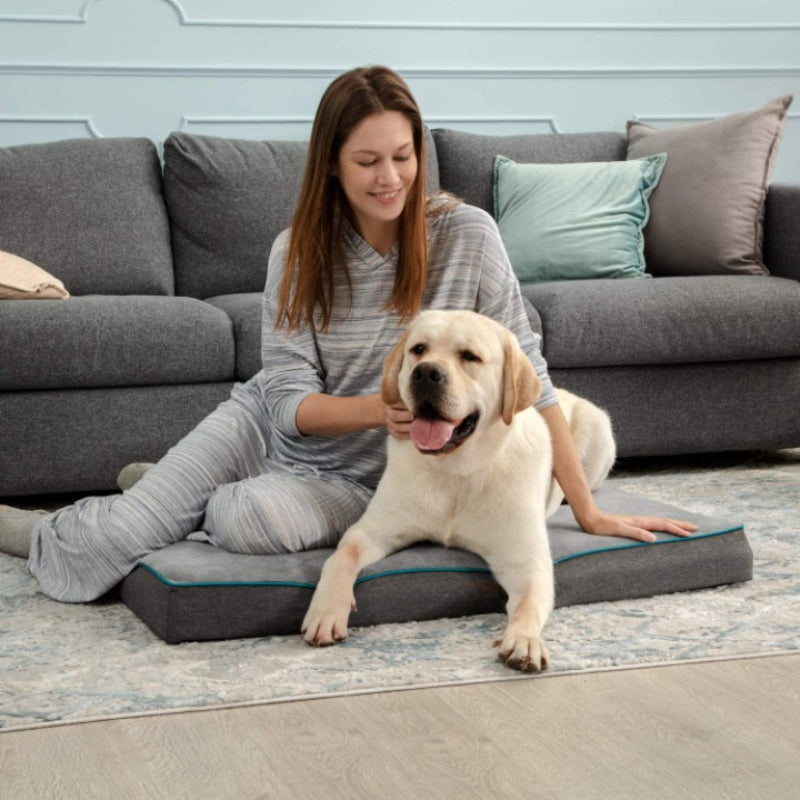 Waterproof Dog Bed With Removable Washable Cover