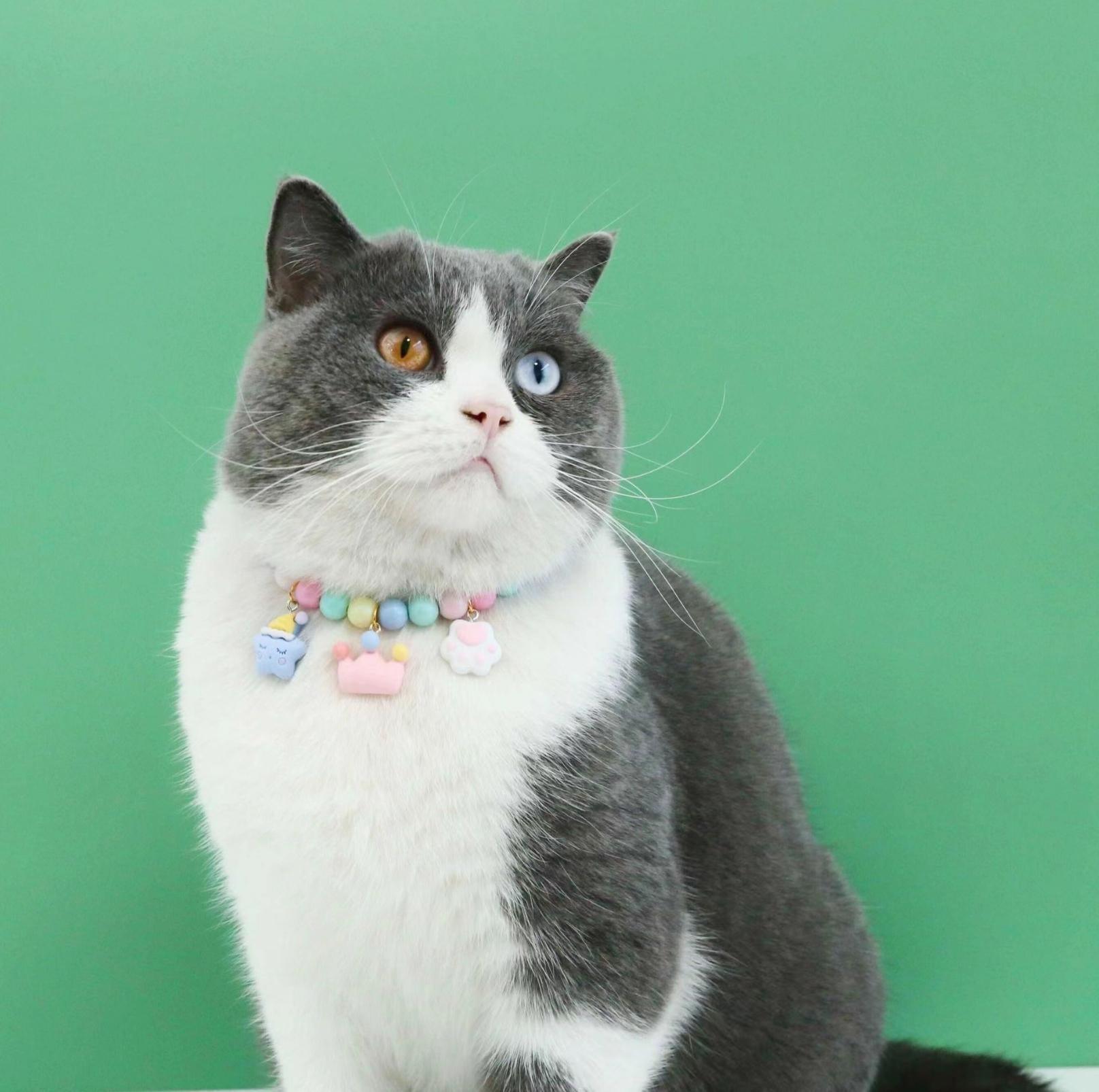 Dreamy Macaron Adjustable Cartoon Pendant Pet Collar