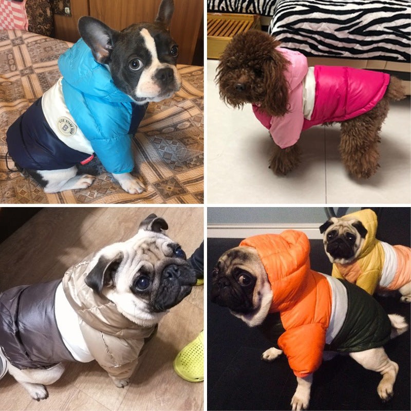 Waterproof Coat Hoodies For French Bulldog