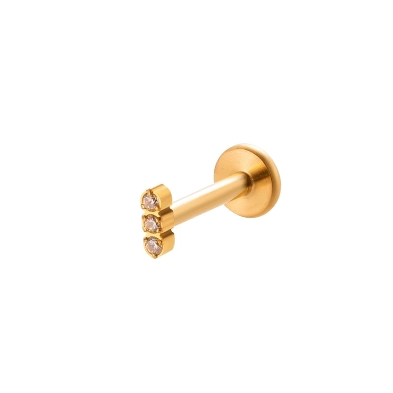 1 Piece Ear Cartilage Rings & Studs IG Style Vintage Style Leaves Heart Shape Bee Pure Titanium Plating Inlay Zircon