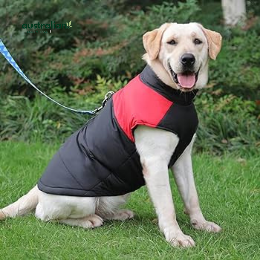 Waterproof Dog Face Jacket