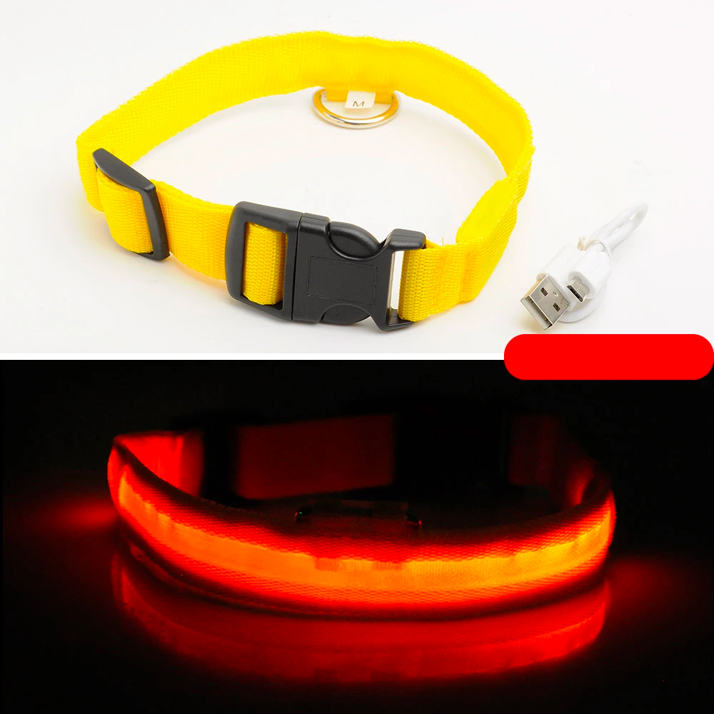 LED Dog Collar - USB Rechargeable - Glow In Dark