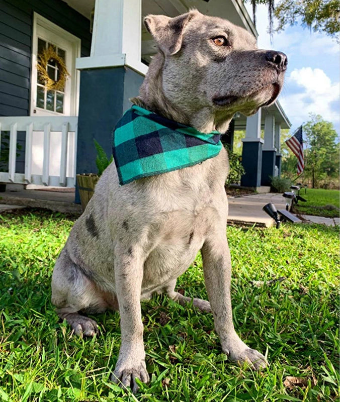 Pet Classic Plaid Triangle Slippery Towel Small Medium Dogs And Cats For Autumn And Winter Velvet Scarf