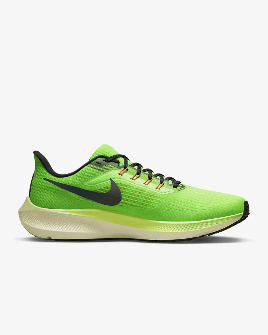 Nike Pegasus 39