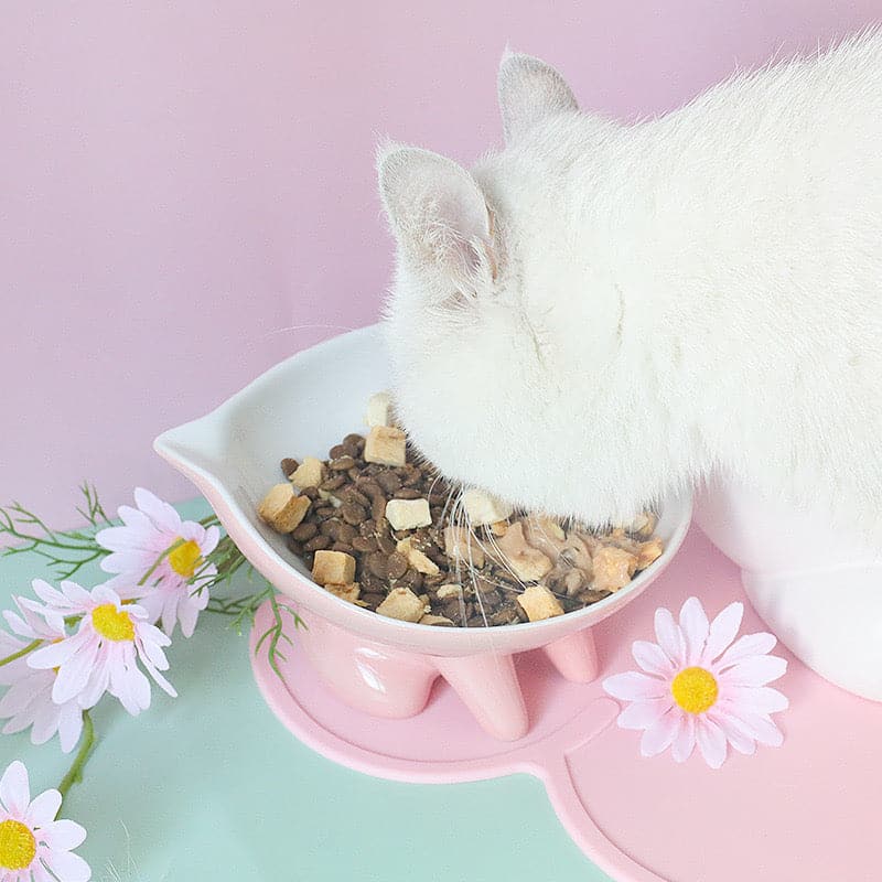 Macaron Ceramic｜Dog Bowls & Cat Bowl