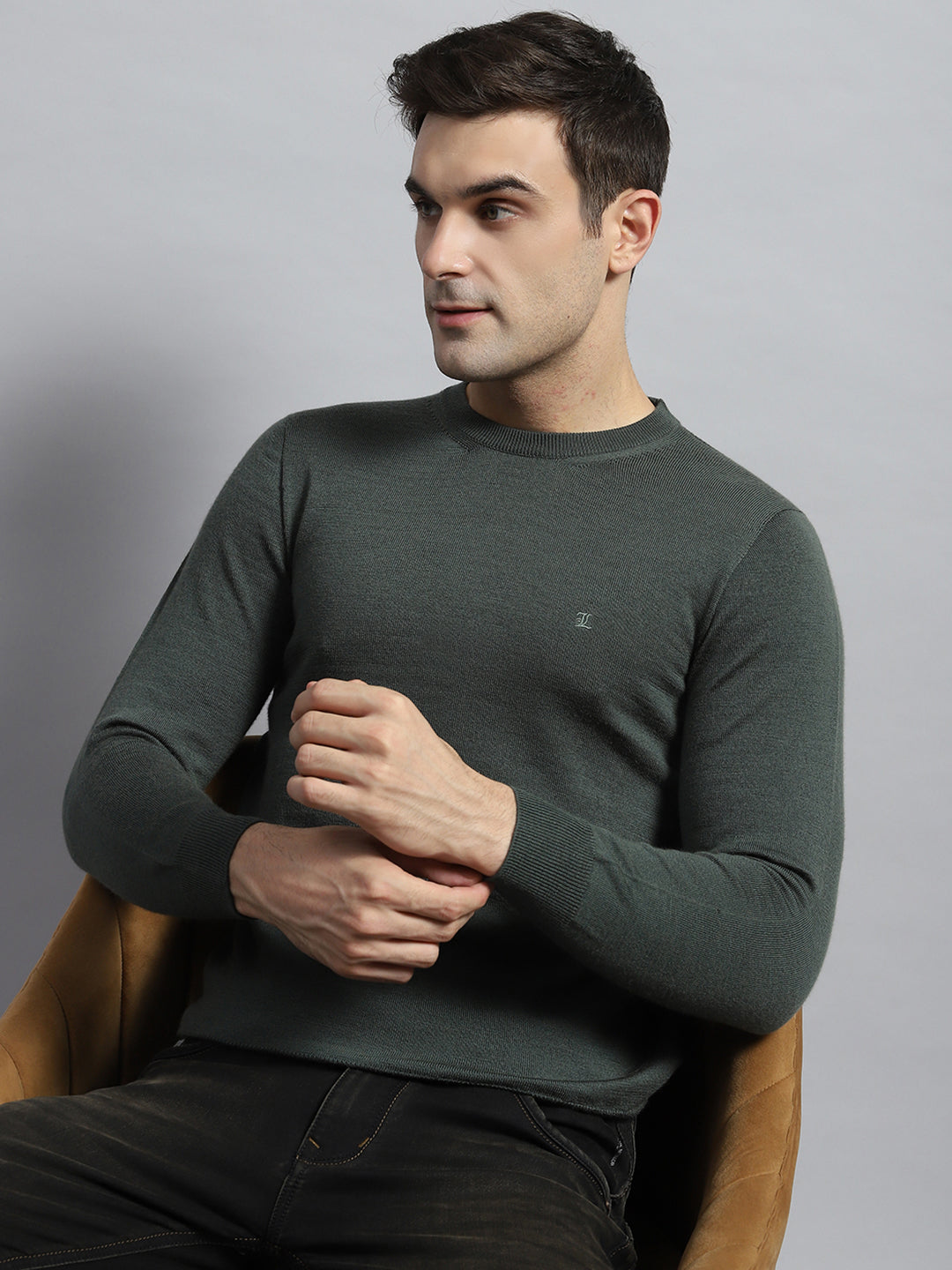 Men Olive Solid Round Neck Full Sleeve Pullover