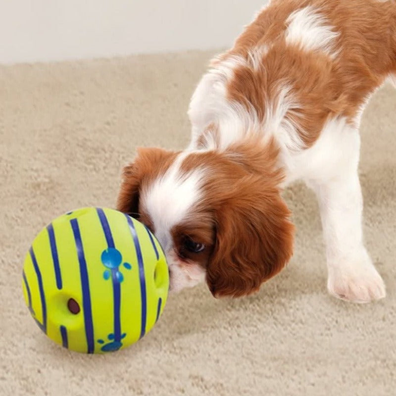 Giggle Ball. Interactive Dog Toy