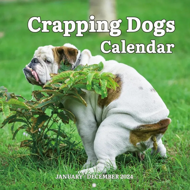 The funniest calendar of this century | The artistic expression of furry friends