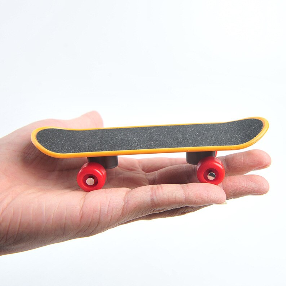 Parrot Training Skateboard