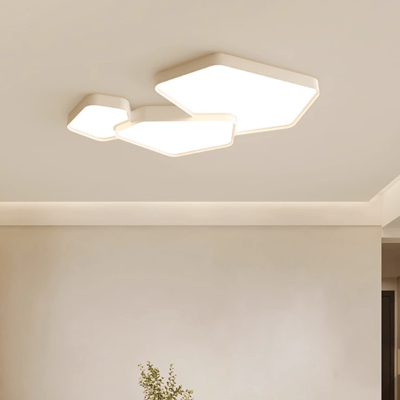 Ava | Surface Mounted Light