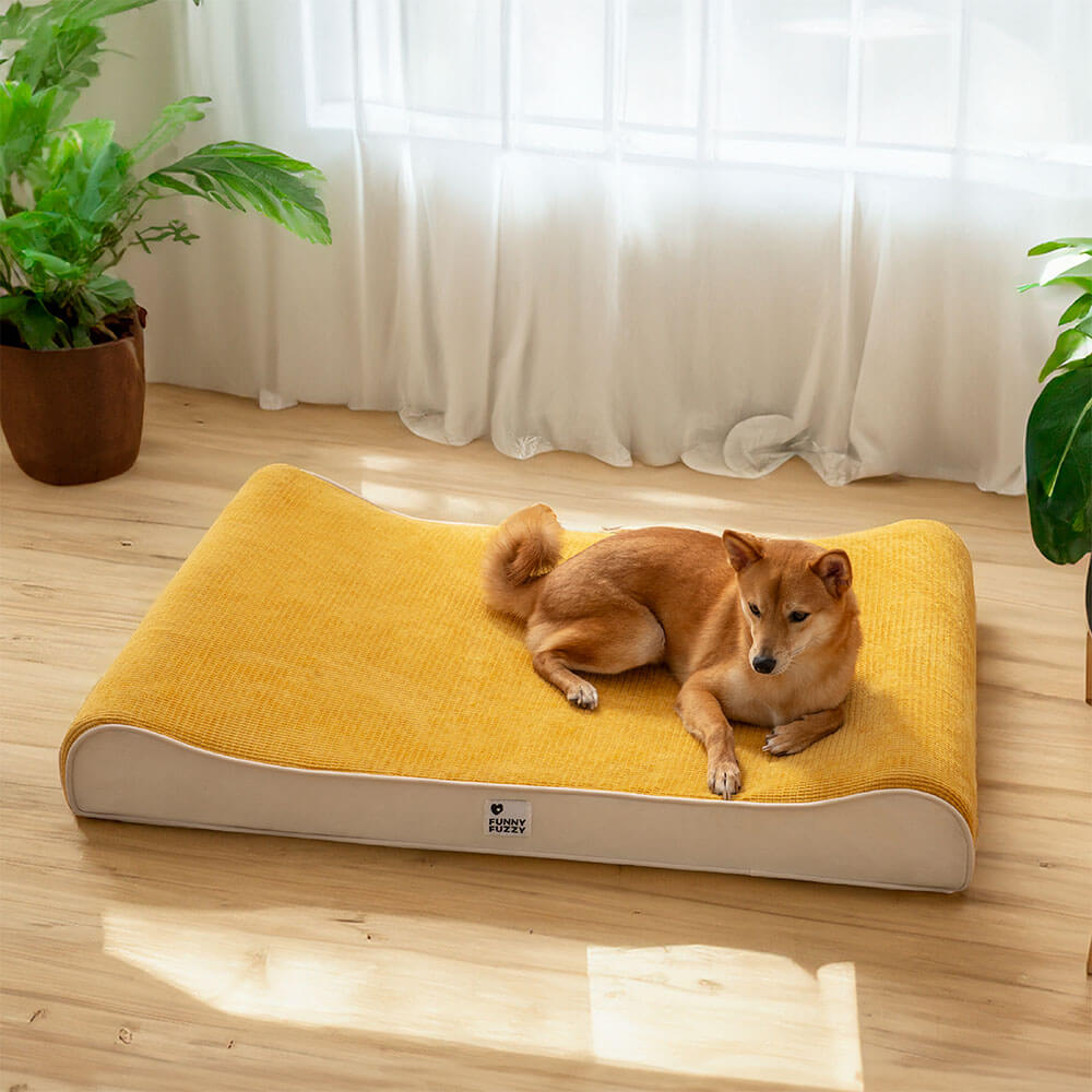 Luxurious Nobility Dog Lounge Chair Orthopedic Dog Bed