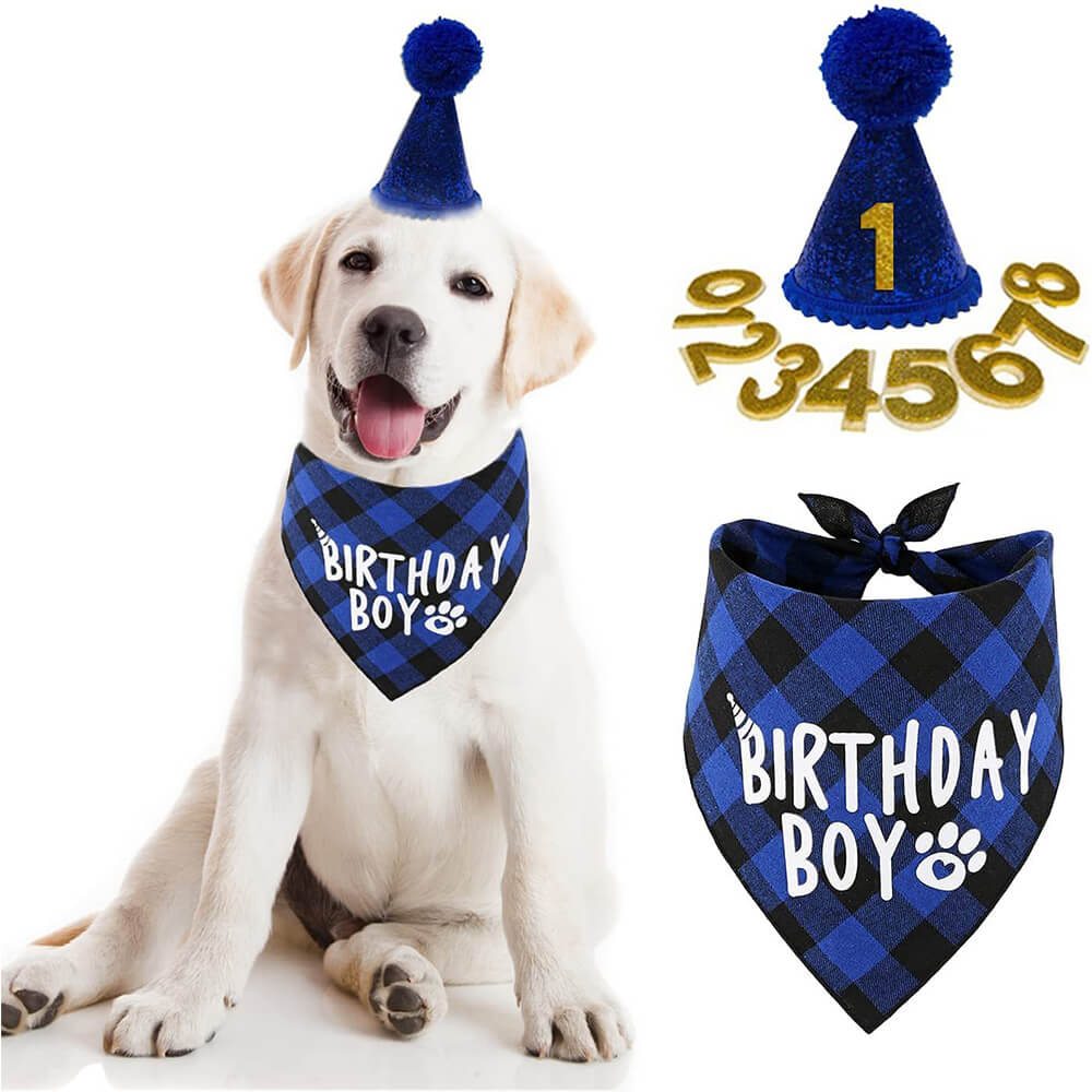 Dog Birthday Boy & Girl Party Set - Blue Plaid Bandana and Hat with Number Stickers