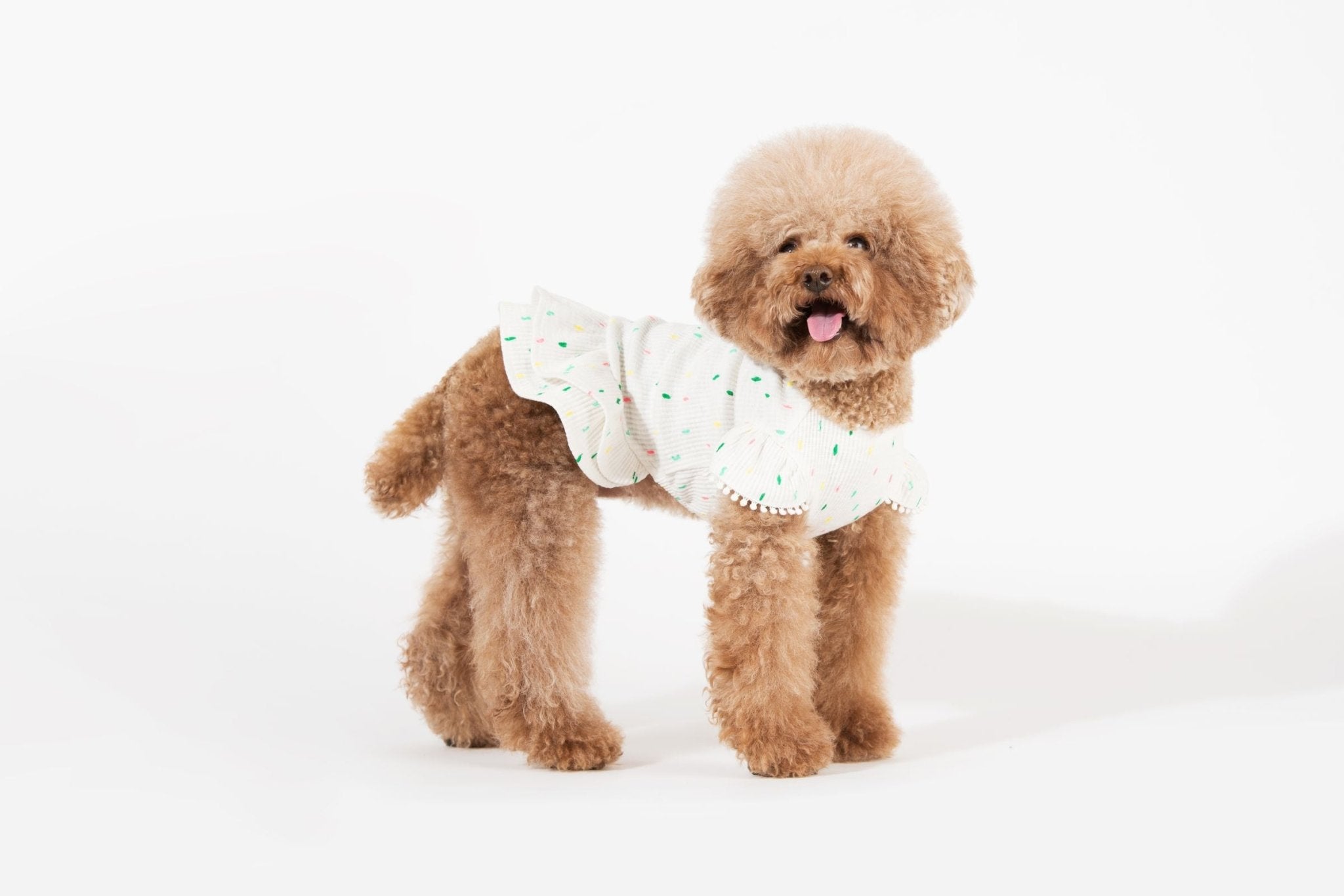 Bohemian Dog Dress