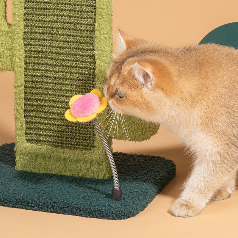 Cactus Cat Scratcher