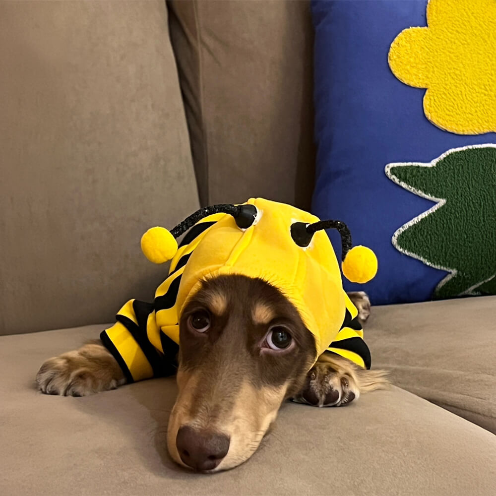 Bee Suit Quirky Funny Hooded Dog Costume