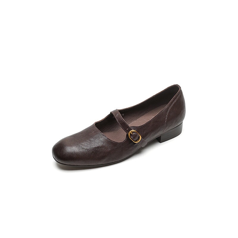 Women's Leather Strappy Mary Jane Low Block Heel in Burgundy/Black/Brown