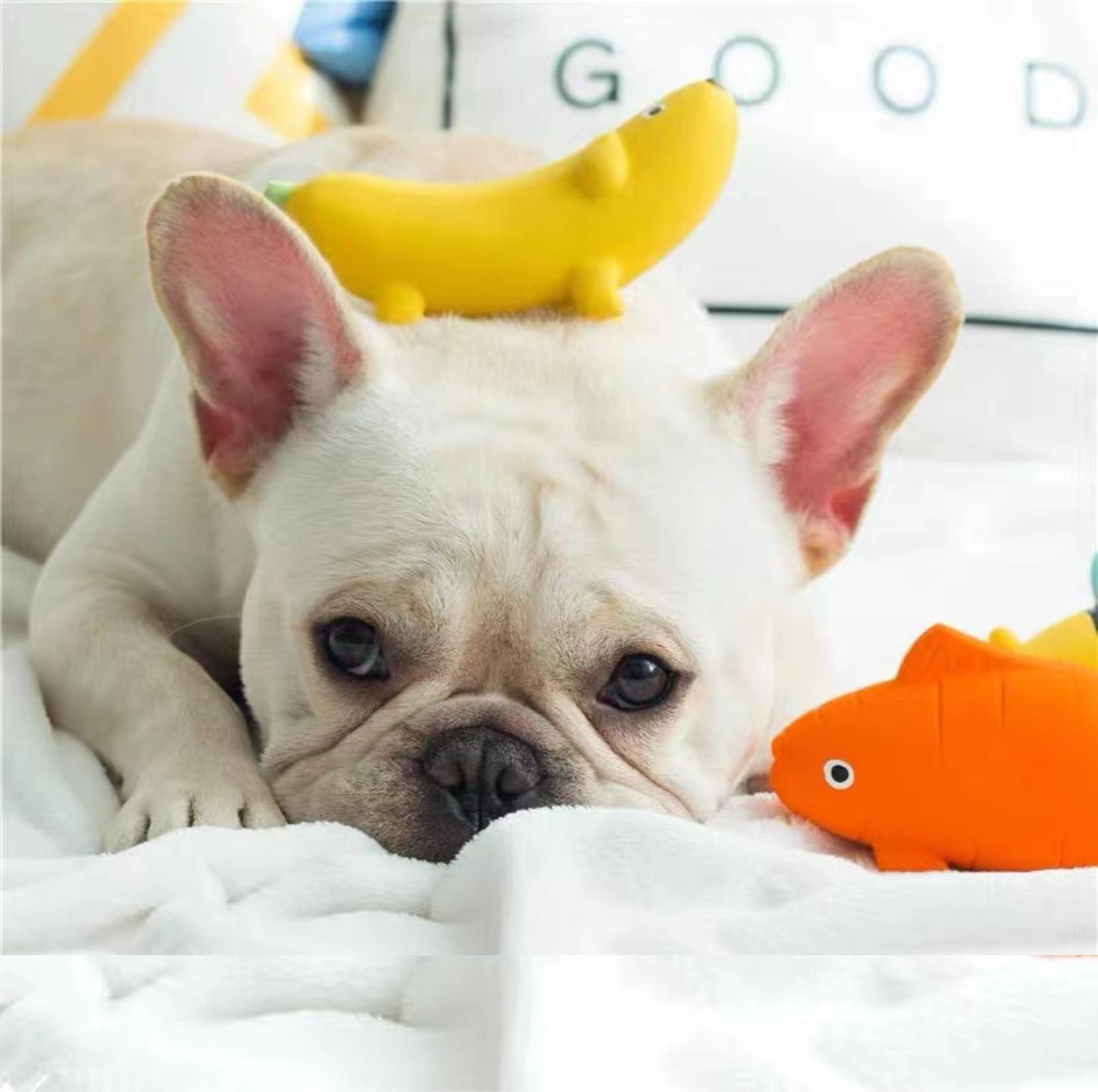 Q-Monster Latex Dog Toy Chewing and Sounding- Cute Fruity Animal Series