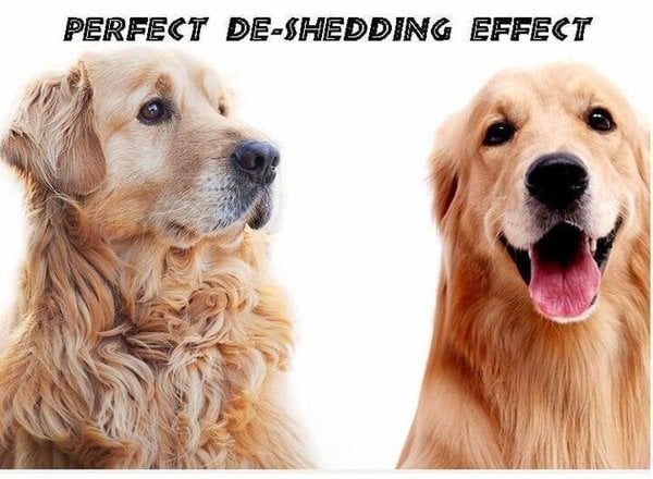 💖Hot Sale 🎁Pet Safe Dematting Comb
