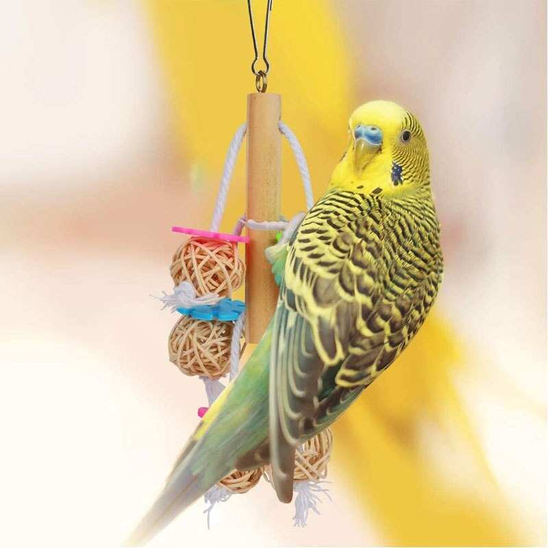 Toys Set Parrot Cage Accessories