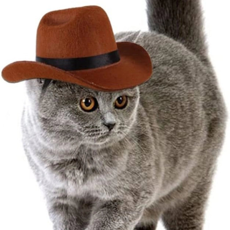 Cowboy Style Nonwoven Solid Color Pet Hat