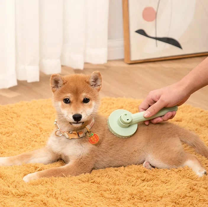 Self-Cleaning Grooming Brush🔥