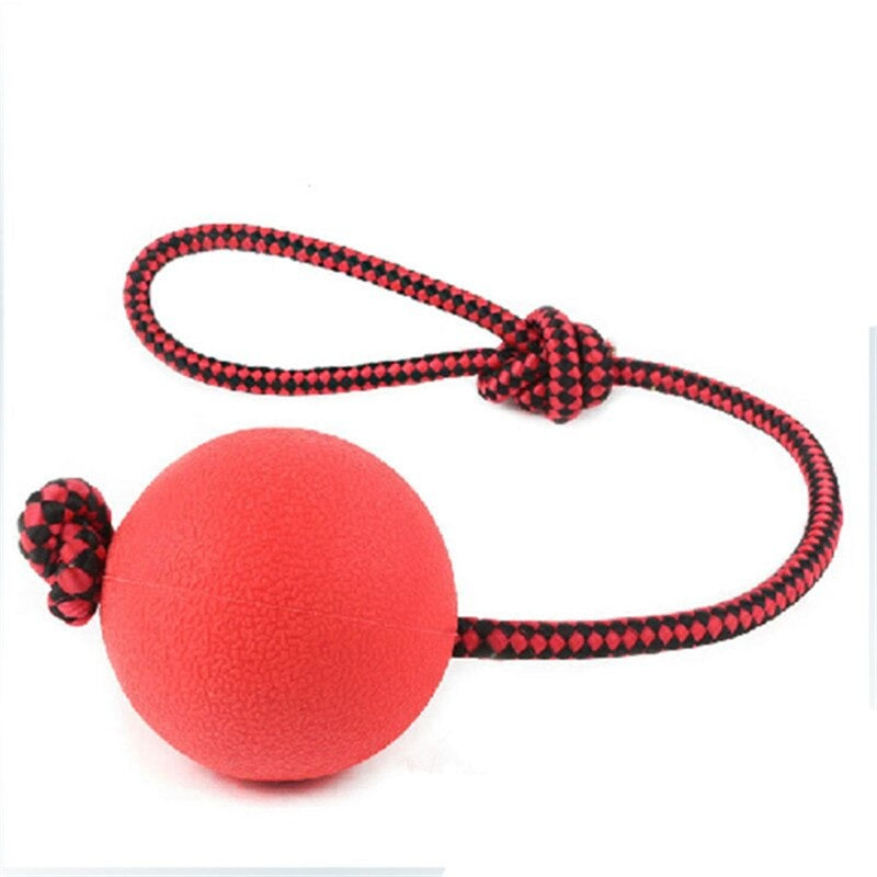 Solid Rubber Dogs Chew Training Ball