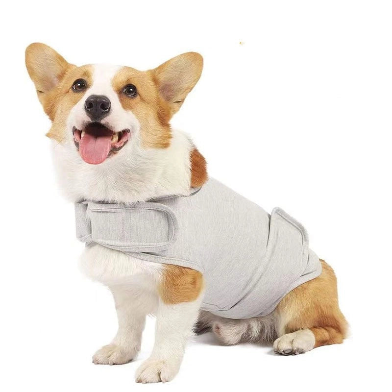 Casual Brocade Cotton Ponte-De-Roma Solid Color Pet Clothing