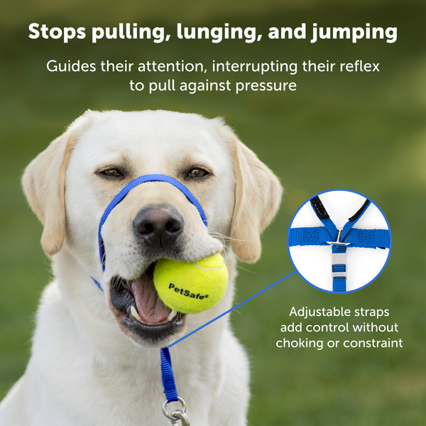 Adjustable No Pull Dog collar