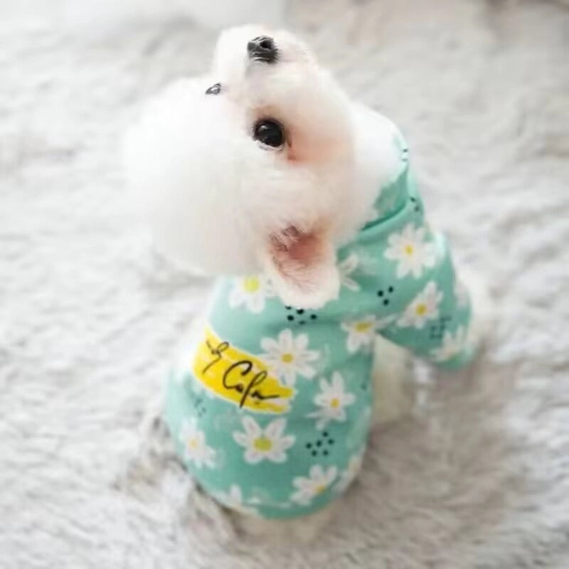 Cute Small Dog Clothes Spring Autumn Collection For Corgi  Bulldog Teddy Bichon Puppies Kittens Thin Pet Outfits