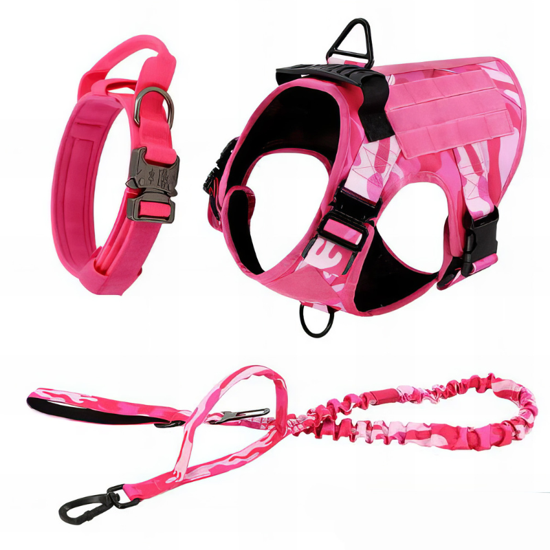 Stylish Dog Harness With Accessories