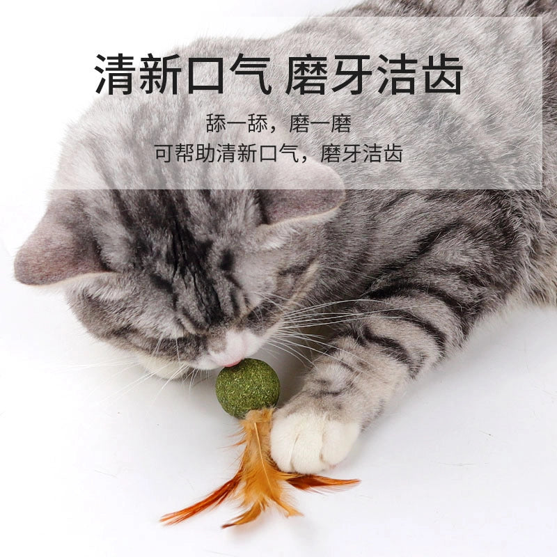 New Cat Mint Ball Cat Feather Toy Ball Cat Teeth Cleaning Molars Hair Removal Ball Cat Grass