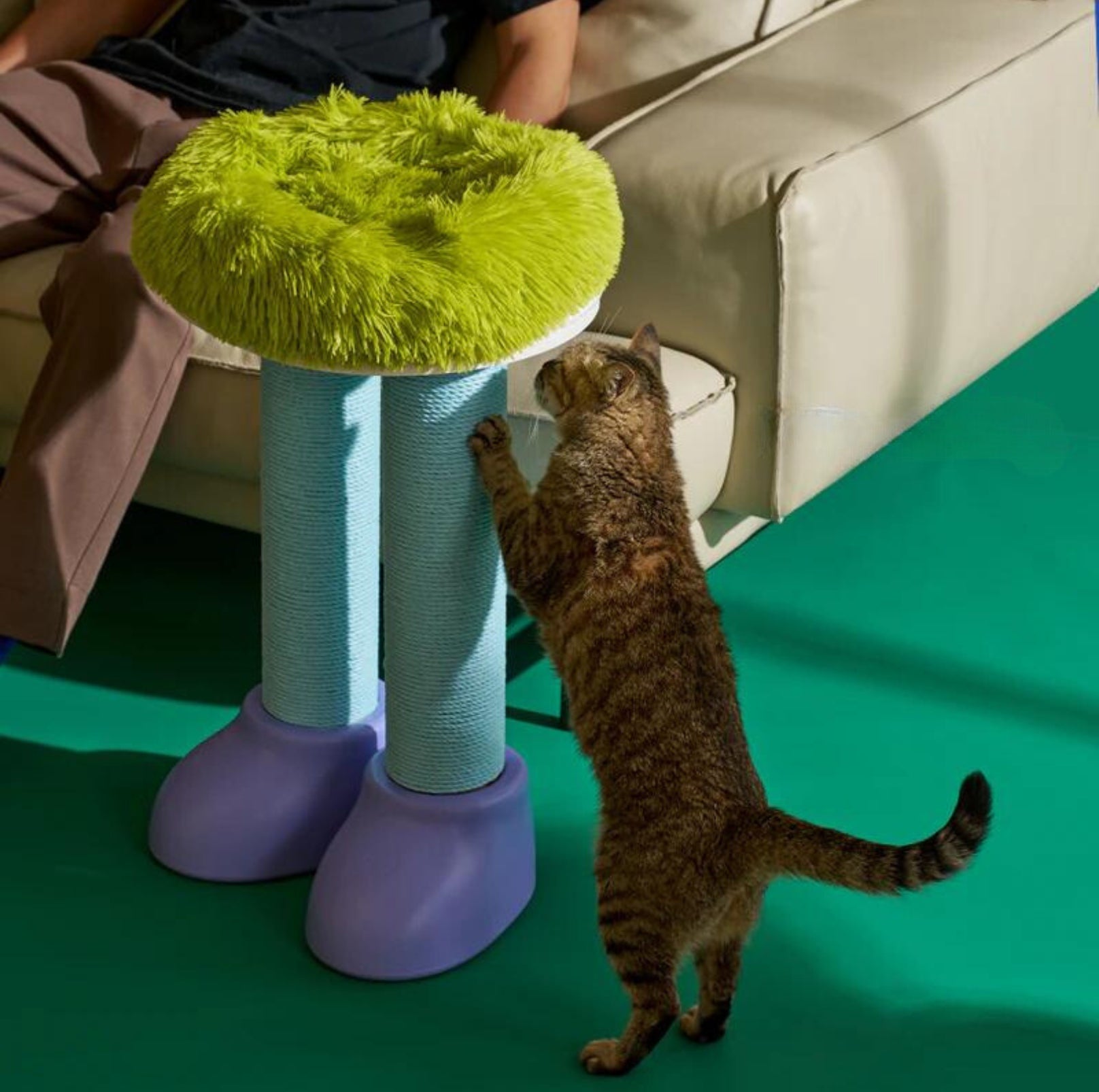 MAKESURE 3-in-1 Cat Scratcher. Bed. and Side Table - Stylish Feline Furniture