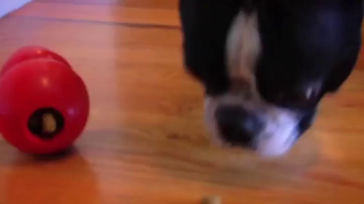 KONG Classic Stuffable Dog Toy - Fetch & Chew Toy for Dogs - Treat-Fil