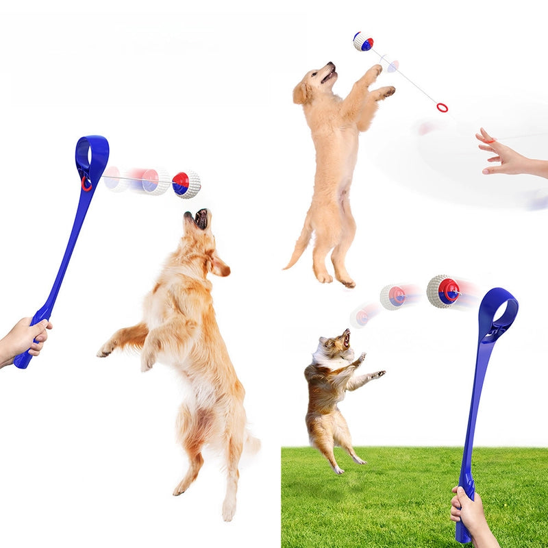 New Molar Pet Supplies Popular Sound Interactive Throwing Club Plastic Dog Toys