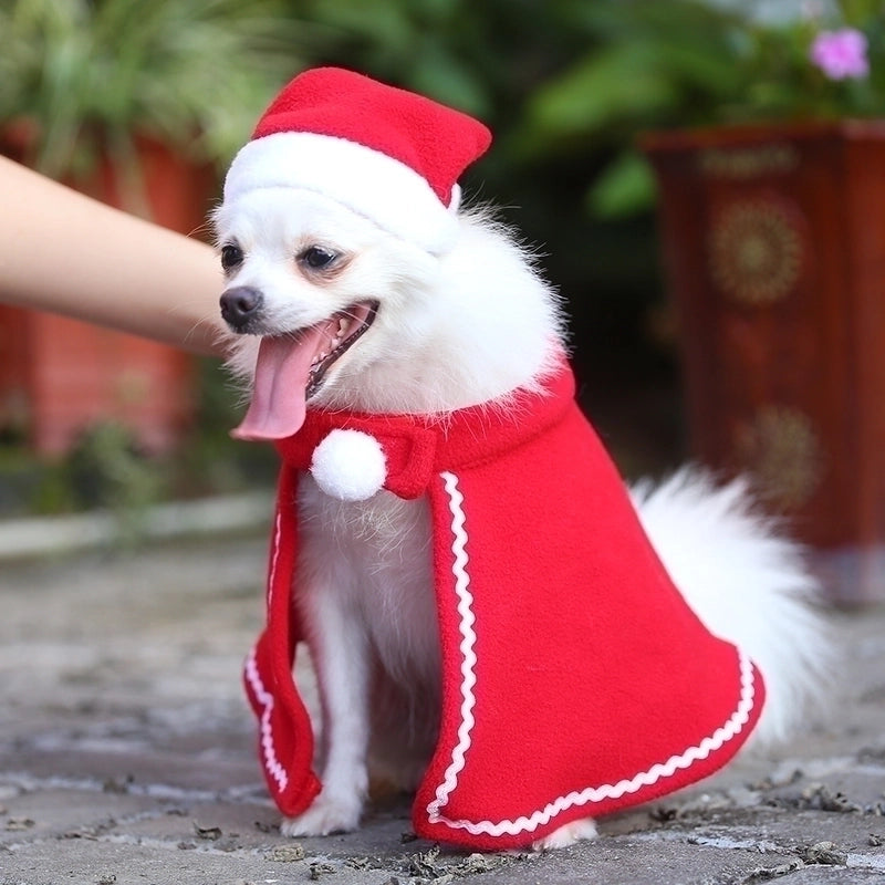 Vacation Christmas Solid Color Pet Clothing