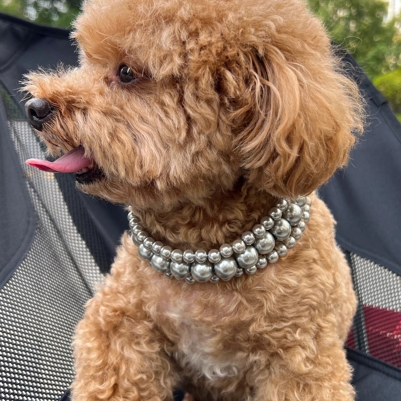 Cute Plastic Round Pet Collar