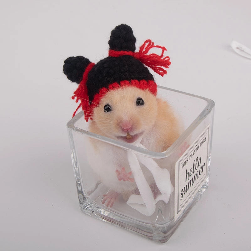 Hamster Hat Parrot Hair Band Photo Small Animal Headdress Handmade Frog Hat Ornaments Hedgehog Headgear Explosions
