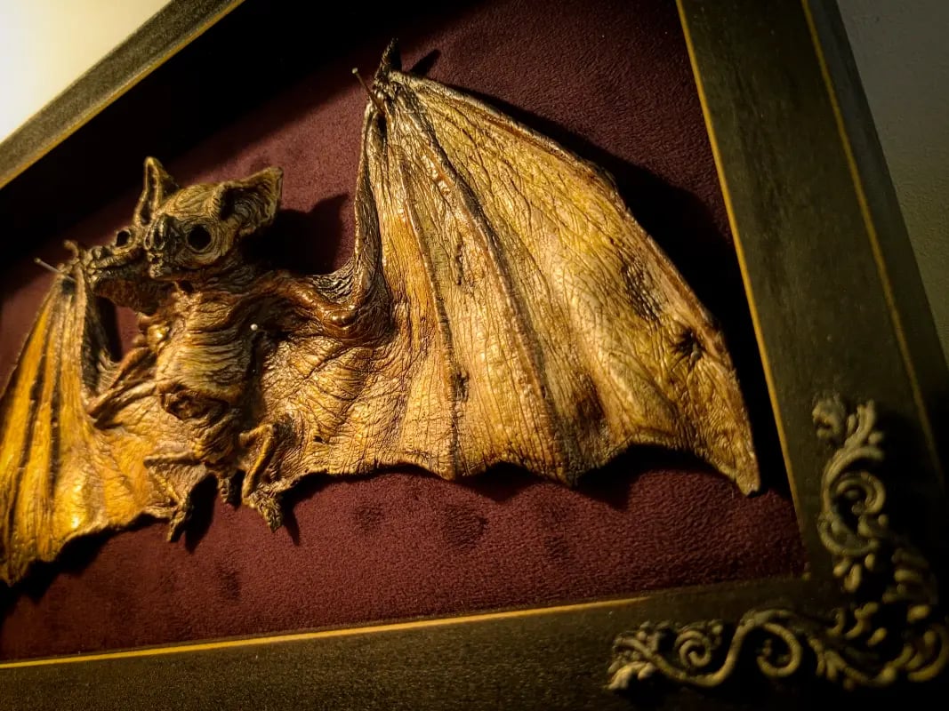 Artificial Bat Taxidermy - Wacky Art🦇