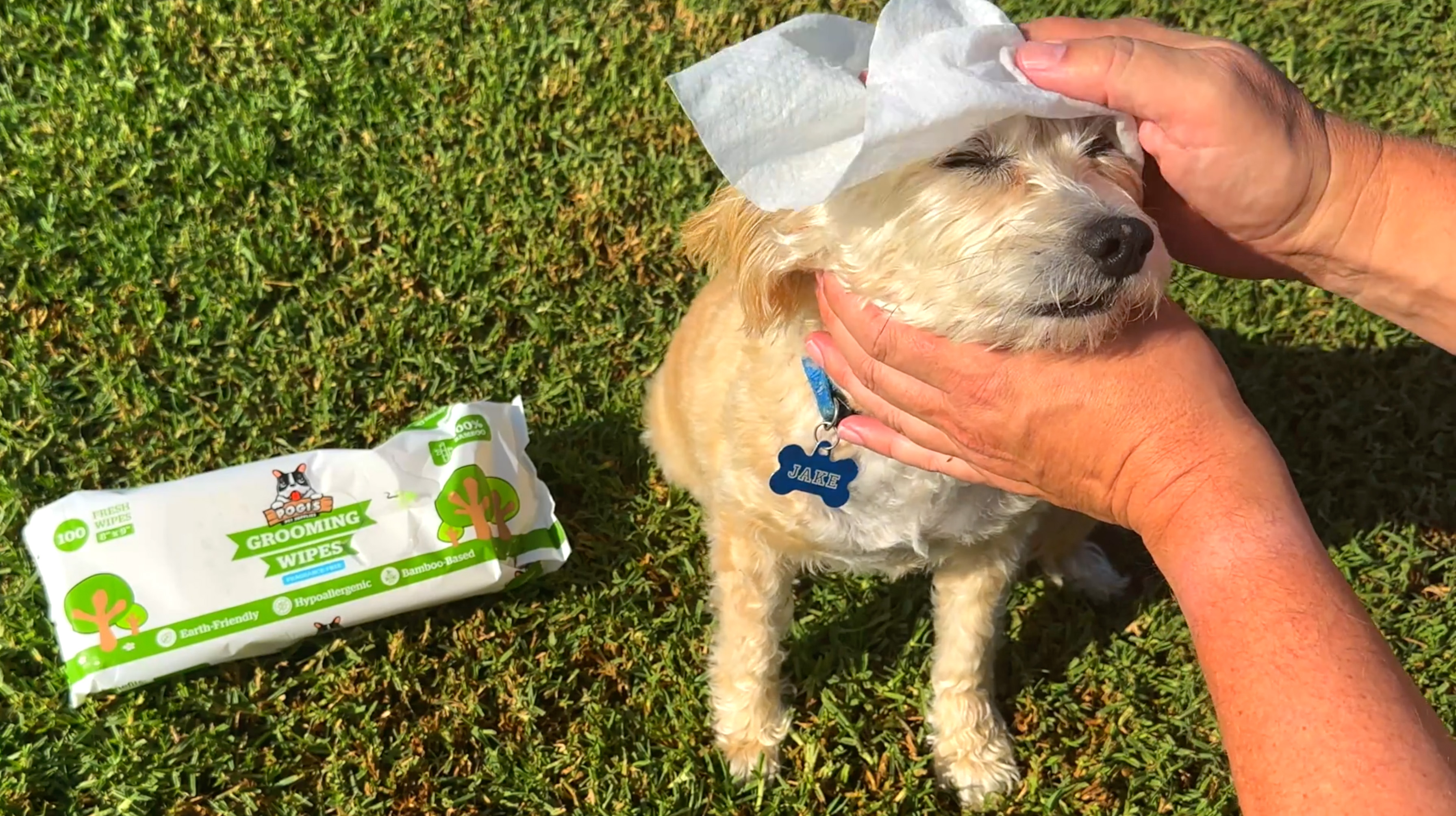 Pogi's Dog Grooming Wipes - 100 Dog Wipes for Cleaning and Deodorizing - Plant-Based. Hypoallergenic Pet Wipes for Dogs. Puppy Wipes - Quick Bath Dog Wipes for Paws. Butt. & Body - Fragrance Free