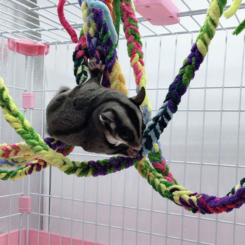 Parrot Climbing Rope Standing
