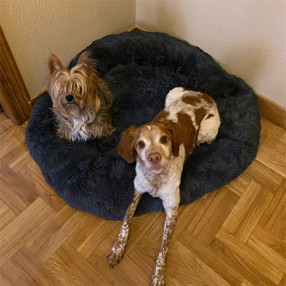 Comfy Calming Dog/Cat Bed