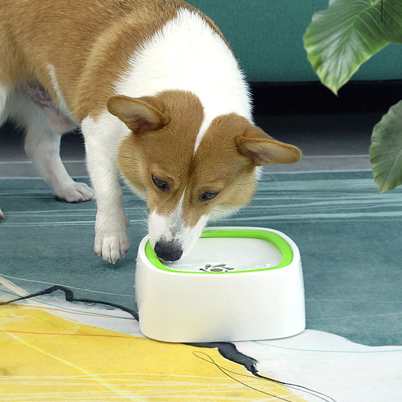 Floating Bowl Water Drinker