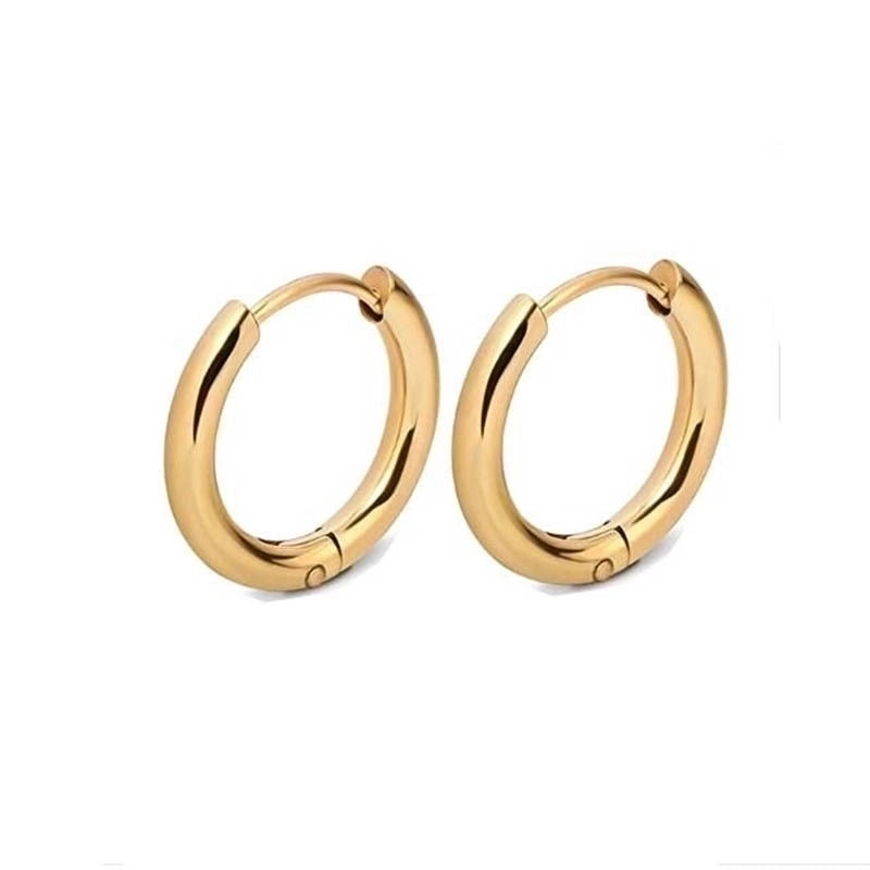 1 Piece Hip-Hop Basic Geometric 330 Stainless Steel Stainless Steel Earrings