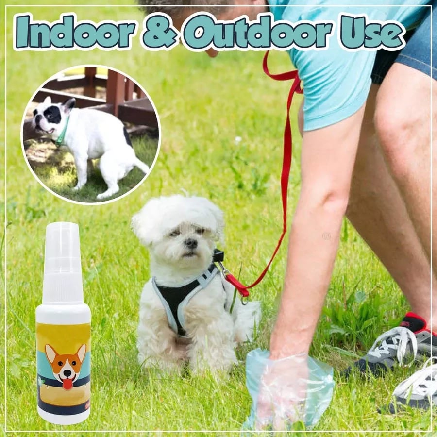 Pet Potty Here Training Spray