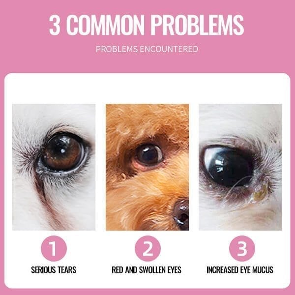 Pet Tear Stain Wipes 🔥Buy 2 Get 1 Free