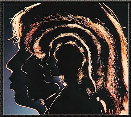 The Rolling Stones-Hot Rocks 1964-1971 Double vinyl