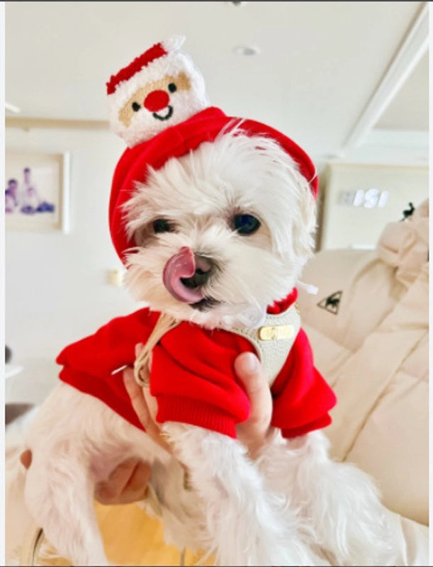 Cute Polyester Christmas Christmas Tree Santa Claus Pet Clothing