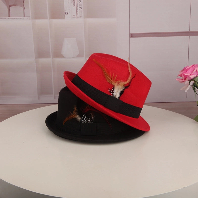 Spring And Autumn New Hat  Casual Ostrich Fur  Retro Feather Jazz Hat Women's Woolen Basin Hat