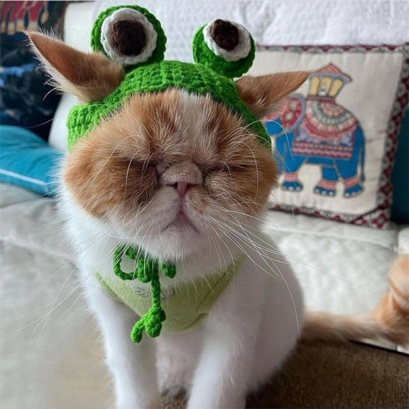 Cute Acrylic Frog Patchwork Pet Hat