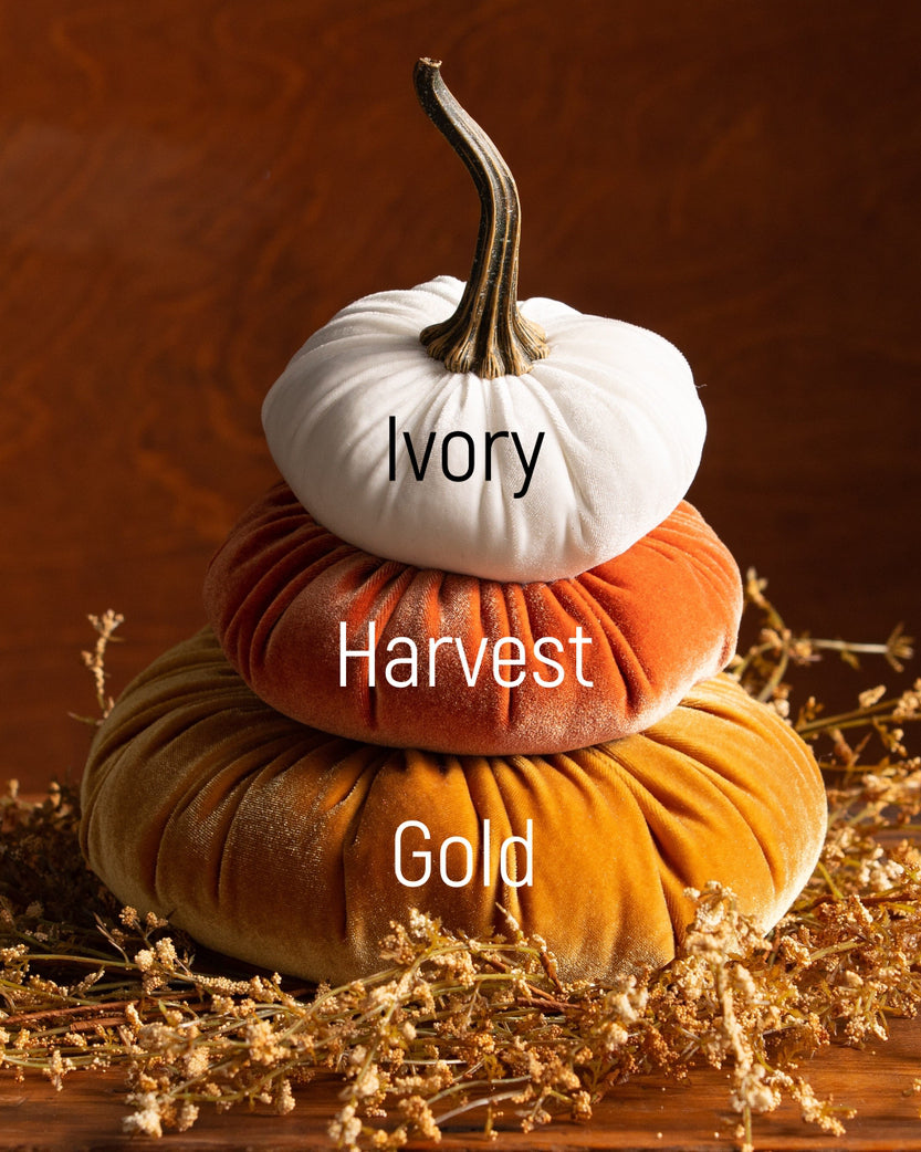 Harvest Pumpkin Stack. Velvet